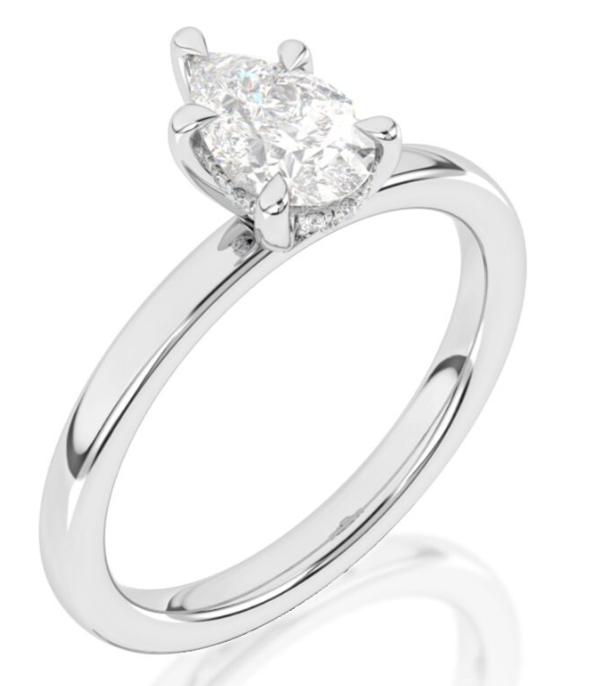 14kwg-0.05ctw-br-dia-ps-under-halo-and-solitaire-shank-eng-ring